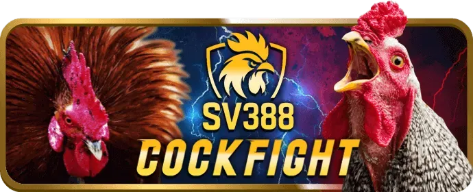 Ưu đãi độc quyền cho thành viên VIP Ricvip Nhà Cái